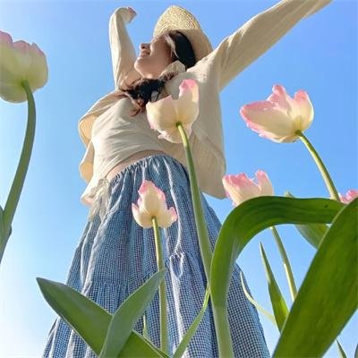 落花飘零高清封面