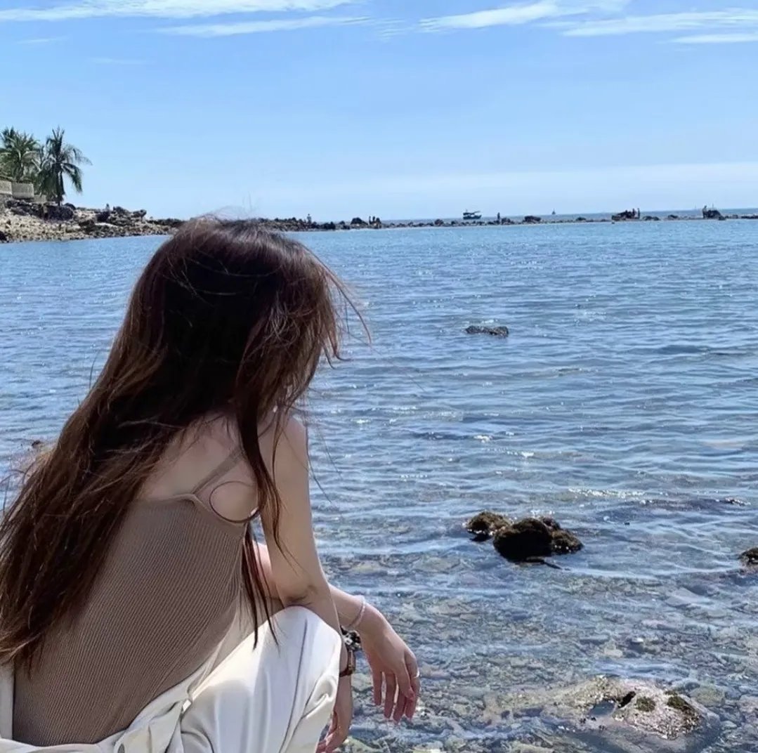 终结杉计划高清封面